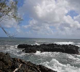 Wilde Küste - Hawaii Tropical Botanical Garden
