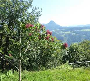 Restaurant Rielinger Hof