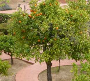 Bei der Besichtigung des Castelo dos Mouros