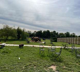 Krewelshof  Kürbisschau 2022 (Wundersame Waldwesen