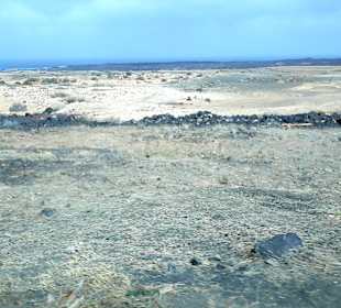 Inselrundfahrt AIDA Tagestour