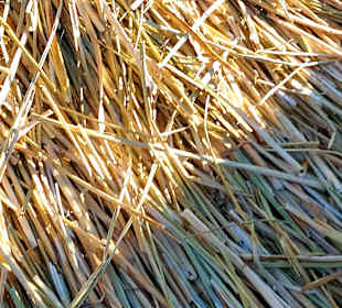 Uros Inseln