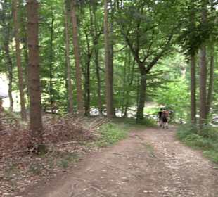 Hochgeträumt Premiumwanderung