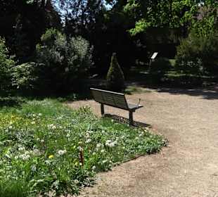 Schneidt'scher Garten