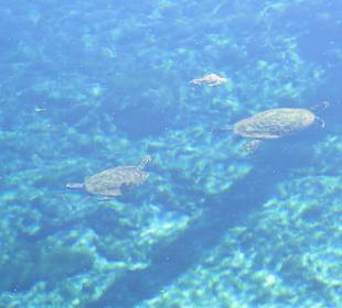 Kristallklares Wasser