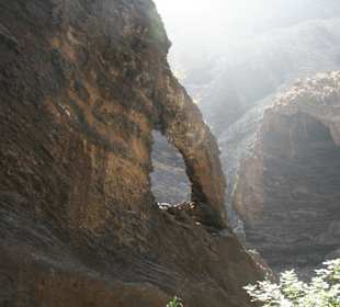 Sieht aus wie ein Elefant