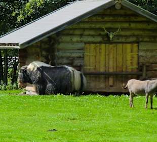 Wildpark