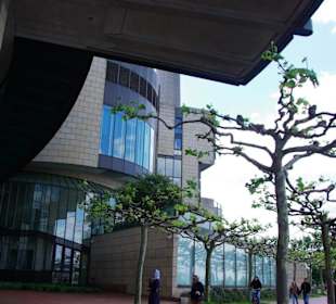 Am Rheinufer entlang