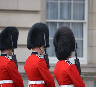 The Queen's Guards
