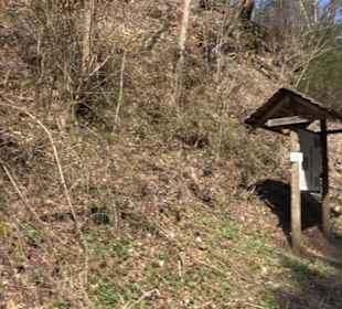 Geologischer Lehrpfad Kirnbachtal