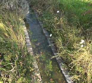 Brunnen unterm Georgenberg