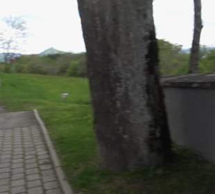 Friedhof Beuren
