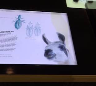 Museum für Naturkunde