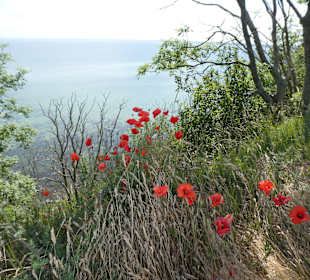 Wandern Breege