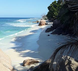 Anse Patates