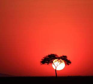 Toller Sonnenaufgang