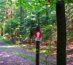 Wanderung zum Signalstein Fränk.Schweiz
