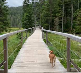 Kleiner Arbersee