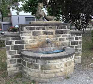 Gänswiese
