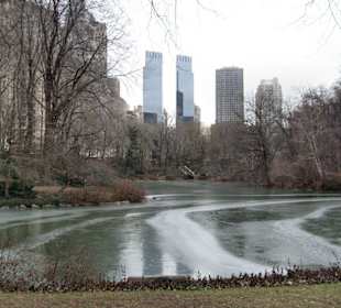 Winter im Centralpark