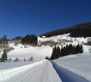 Wandern Spital am Pyhrn