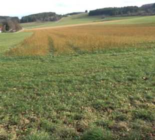Krähberg-Kapellenberg Eglingen