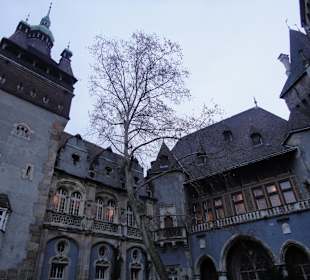 Burganlage Vajda-Hunyad