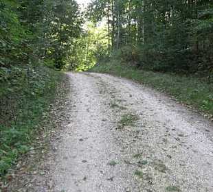 Bussen Schöpfungsweg Offingen