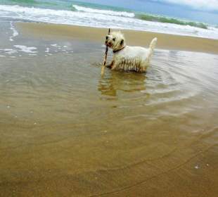 Ende September 2010 Impressionen