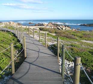 Toller Holzsteg am Strand