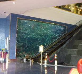 Aquarium in der Lobby