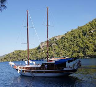 Die M/S Mim Saka
