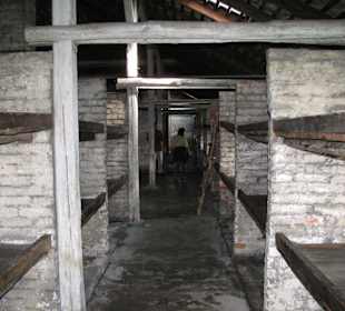 700 - 1000 Menschen pro Baracke