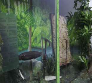 Museum für Völkerkunde