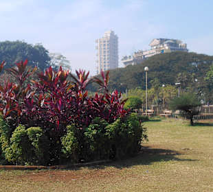 Kamala Nehru Park