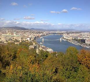 Blick vom Gellerberg