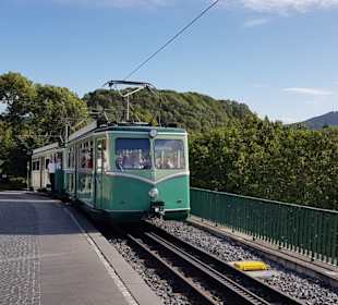 Drachenfelsbahn 