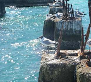 Halt bei einem Brückenrest aus den 2. Weltkrieg