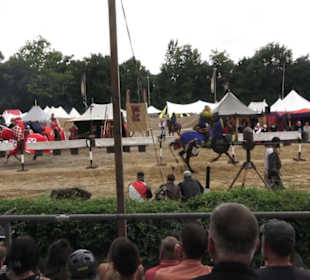 Jahrhundertmarkt und Ritterturney