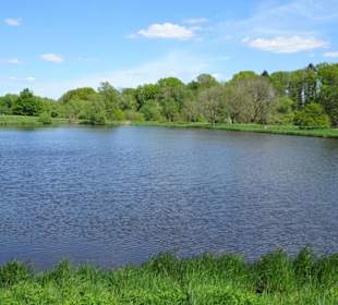 Impressionen vom Rundgang um den Klostersee
