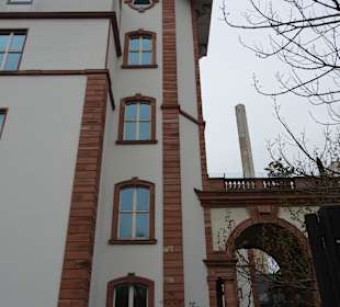 Naturkundemuseum Senckenberg