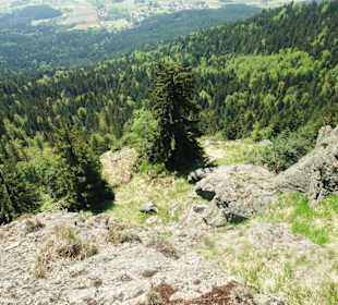 Aussicht von der Kötztinger Hütte