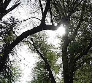 Walderlebnisweg Rottenburg