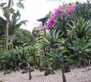 Super schön im Loro Parque
