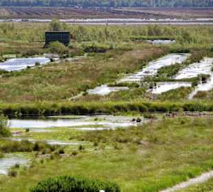 Blick über die Flächen am Moorerlebnispfad