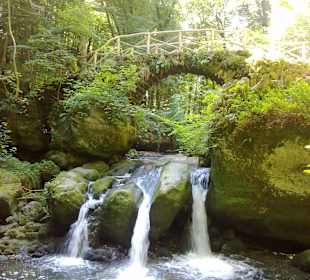 Kleine Luxemburger Schweiz bei Echternach