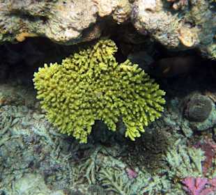 Bilder vom 13.10.16 von mir geschossen