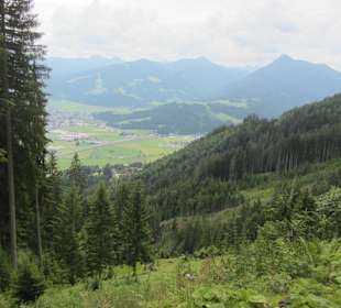 Wandern Flachau