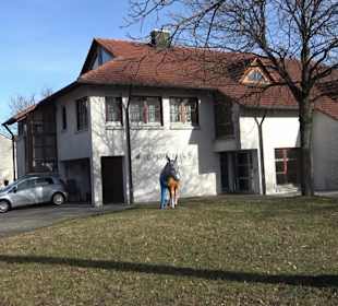 Feuerwehr Walddorfhäslach