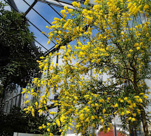 Anlage Planten un Blomen